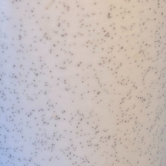 Vtg OTAGIRI Galena, Illinois Souvenir Mug ~  Ulysses S. Grant ~  U.S. History - Picture 8 of 8